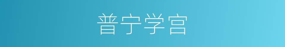 普宁学宫的同义词