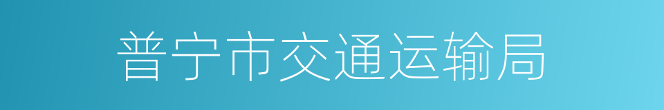 普宁市交通运输局的同义词