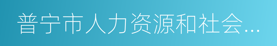 普宁市人力资源和社会保障局的同义词