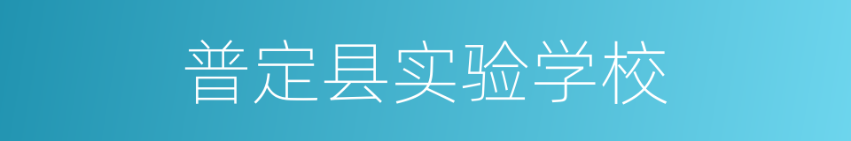 普定县实验学校的同义词