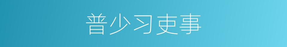 普少习吏事的同义词