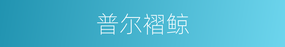 普尔褶鲸的意思