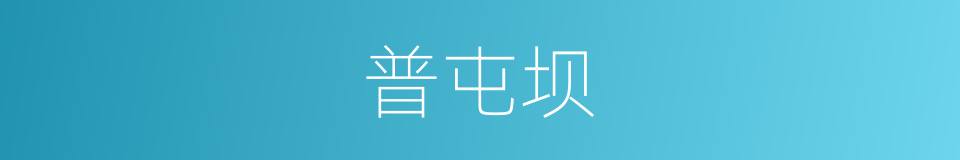 普屯坝的同义词