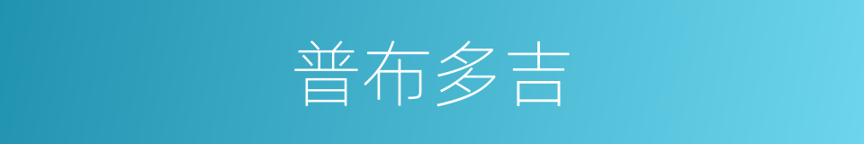普布多吉的同义词