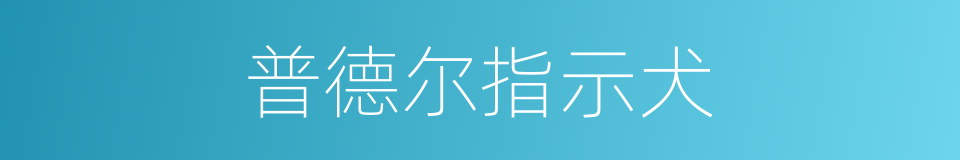 普德尔指示犬的同义词