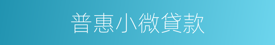 普惠小微貸款的同義詞