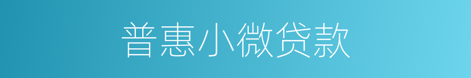 普惠小微贷款的同义词