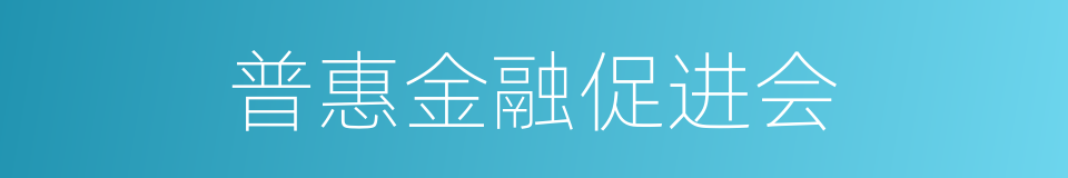 普惠金融促进会的同义词