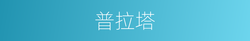 普拉塔的同义词