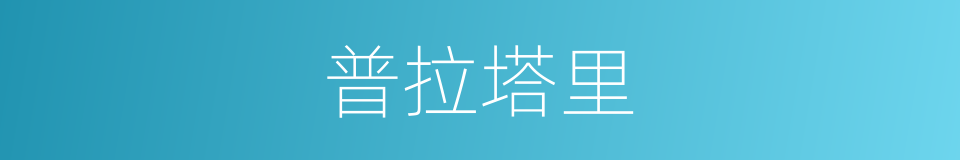 普拉塔里的同义词