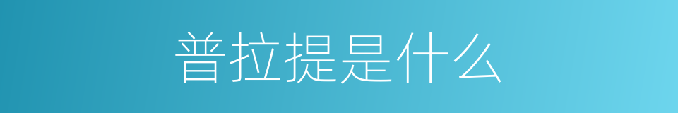 普拉提是什么的同义词