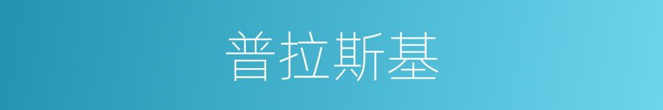普拉斯基的同义词