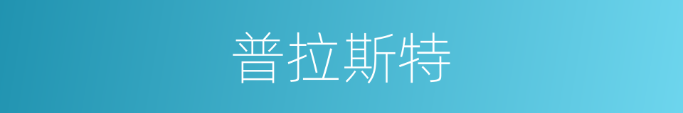普拉斯特的同义词