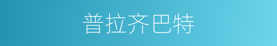 普拉齐巴特的同义词