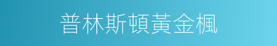 普林斯頓黃金楓的同義詞