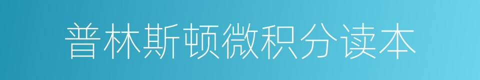 普林斯顿微积分读本的同义词