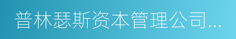 普林瑟斯资本管理公司基金经理的同义词