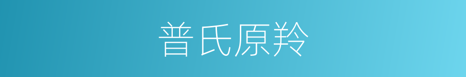 普氏原羚的同义词
