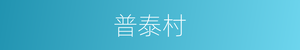 普泰村的同义词