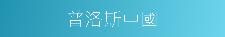 普洛斯中國的同義詞