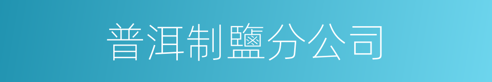 普洱制鹽分公司的同義詞