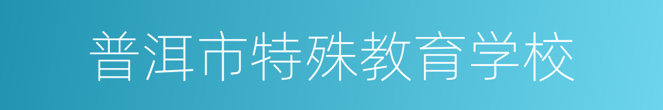 普洱市特殊教育学校的同义词