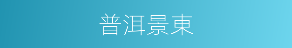 普洱景東的同義詞