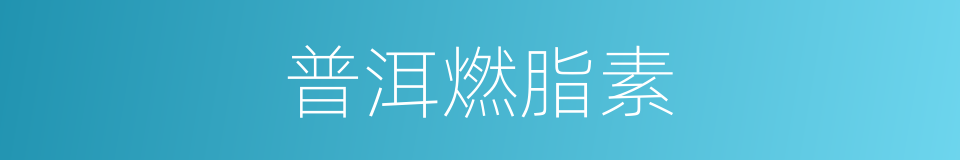 普洱燃脂素的同义词