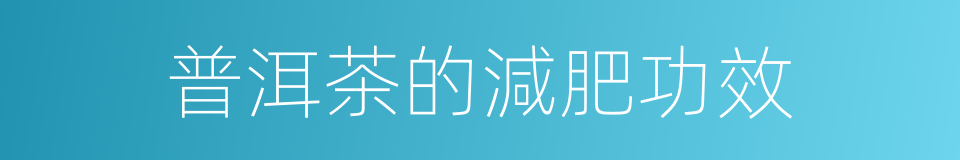 普洱茶的減肥功效的同義詞