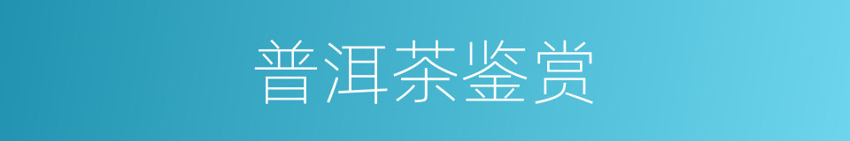 普洱茶鉴赏的同义词
