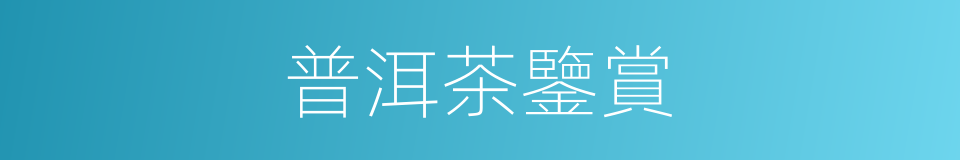 普洱茶鑒賞的同義詞