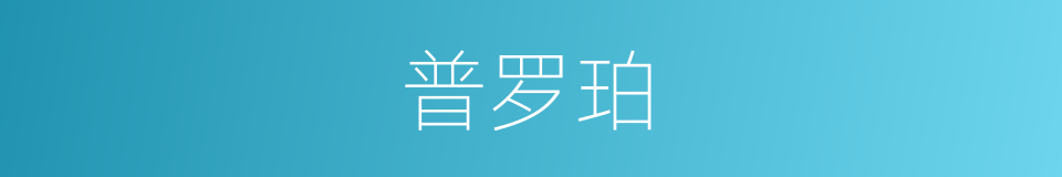 普罗珀的同义词
