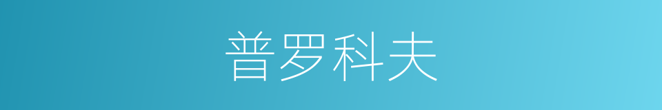 普罗科夫的同义词