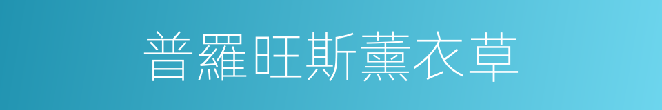 普羅旺斯薰衣草的同義詞