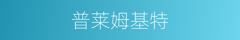 普莱姆基特的同义词