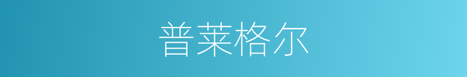 普莱格尔的同义词