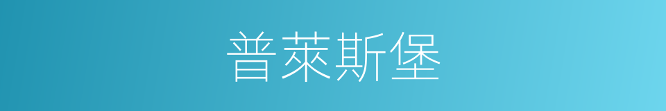 普萊斯堡的同義詞