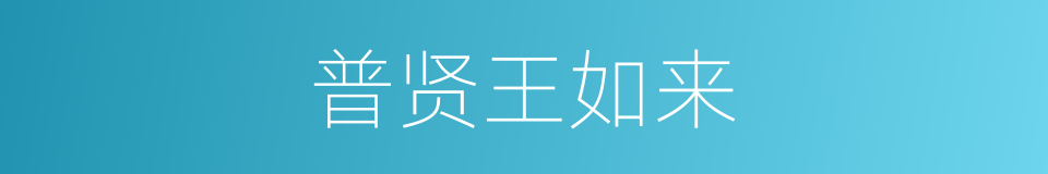 普贤王如来的同义词