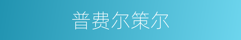 普费尔策尔的同义词