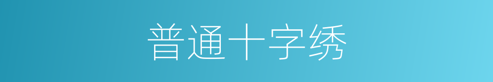 普通十字绣的同义词