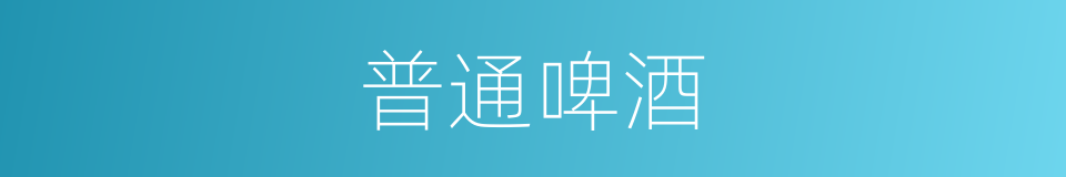 普通啤酒的同义词