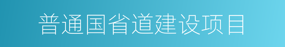 普通国省道建设项目的同义词