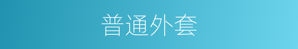 普通外套的同义词