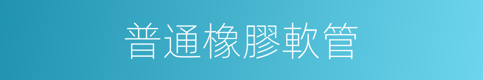 普通橡膠軟管的同義詞