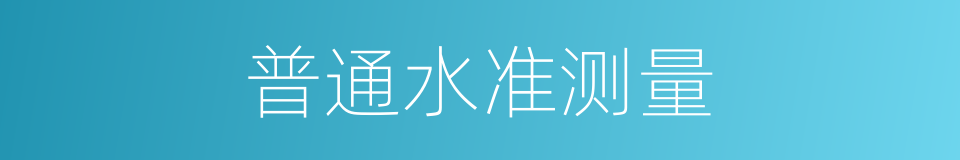 普通水准测量的同义词