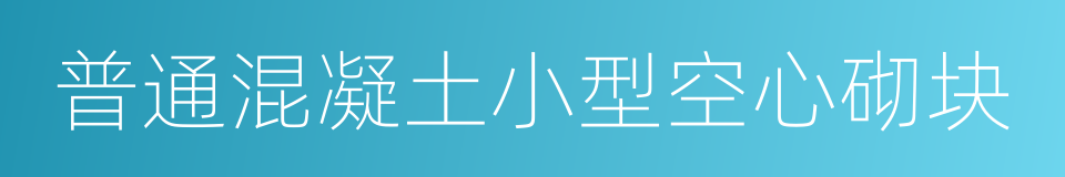 普通混凝土小型空心砌块的同义词