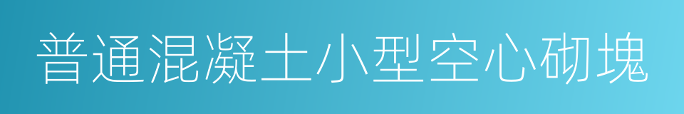 普通混凝土小型空心砌塊的同義詞