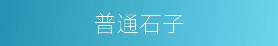 普通石子的同义词