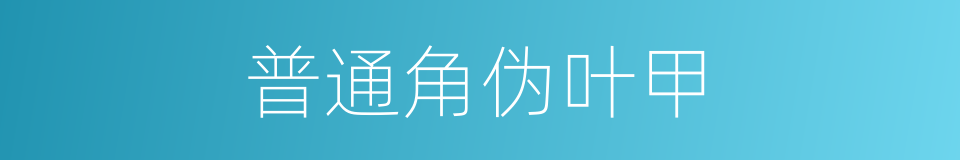 普通角伪叶甲的同义词