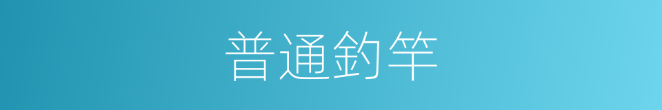 普通釣竿的同義詞